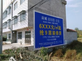 平昌墙体广告质量分析