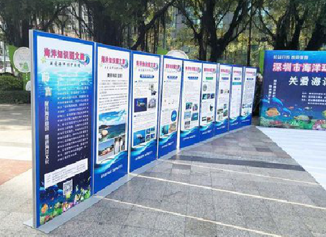 平昌KT板的种类和知识。